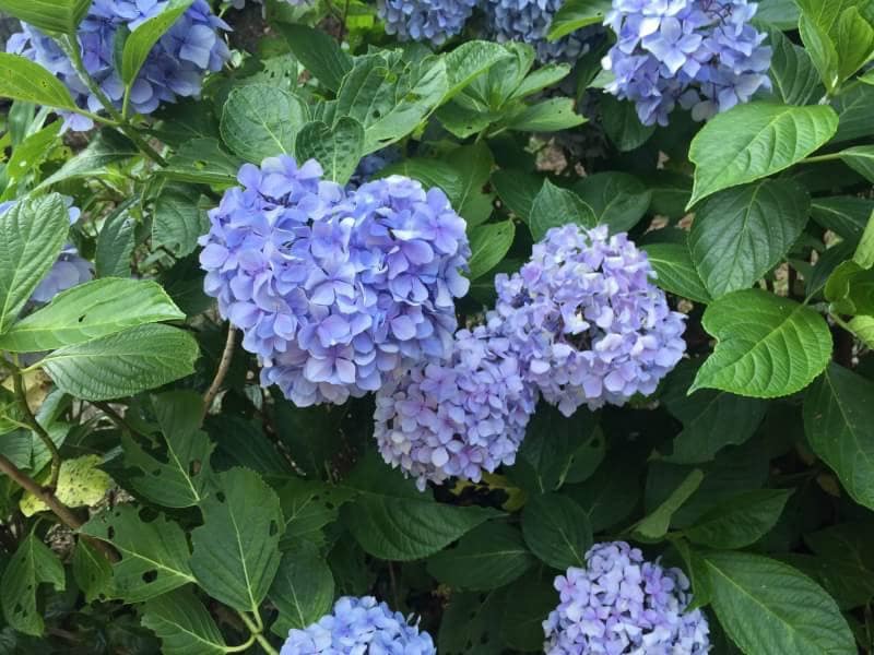 話を聞きます 愚痴、悩や暇つぶし、話したい方へ☆ イメージ2