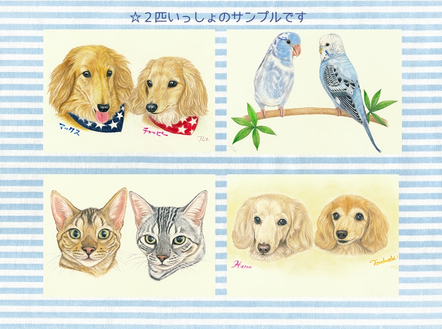 優しい雰囲気のペットのイラストをお描きします A4サイズ｜色んな背景もかけます♫ イメージ9