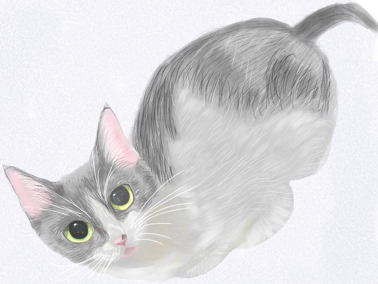 皆さんの愛しいペットの写真をイラストにします どんなタッチの絵か、相談可能です！お直しは3回まで無料です！ イメージ3