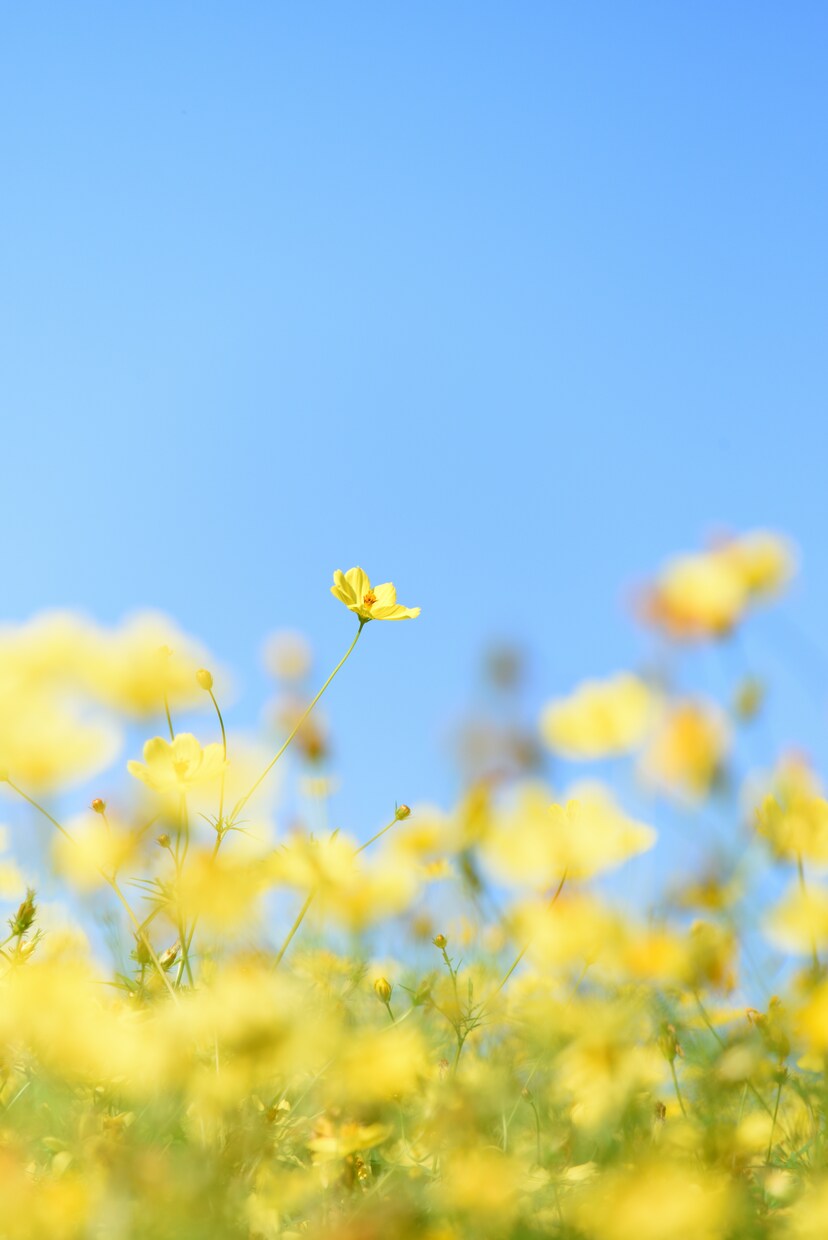 あなたのちょっとしたお悩み、愚痴聞きます 営業約10年、お客様の話を聞いてきた30代がお話聞きます イメージ1