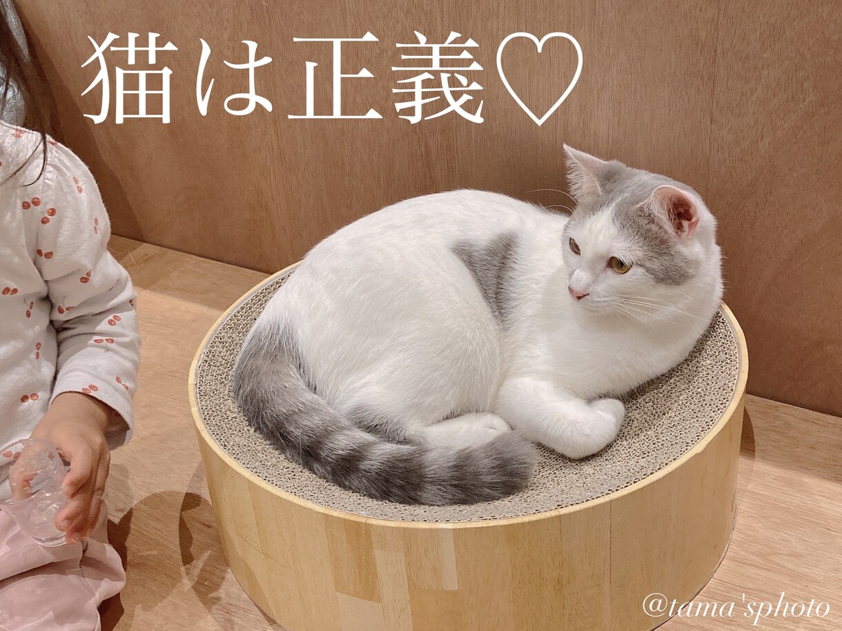 あなただけの３０分❤️秘密の友達や彼女になります 通勤中.休憩.暇つぶし.不眠症.寂しい.孤独.癒し.楽しい♡ イメージ2