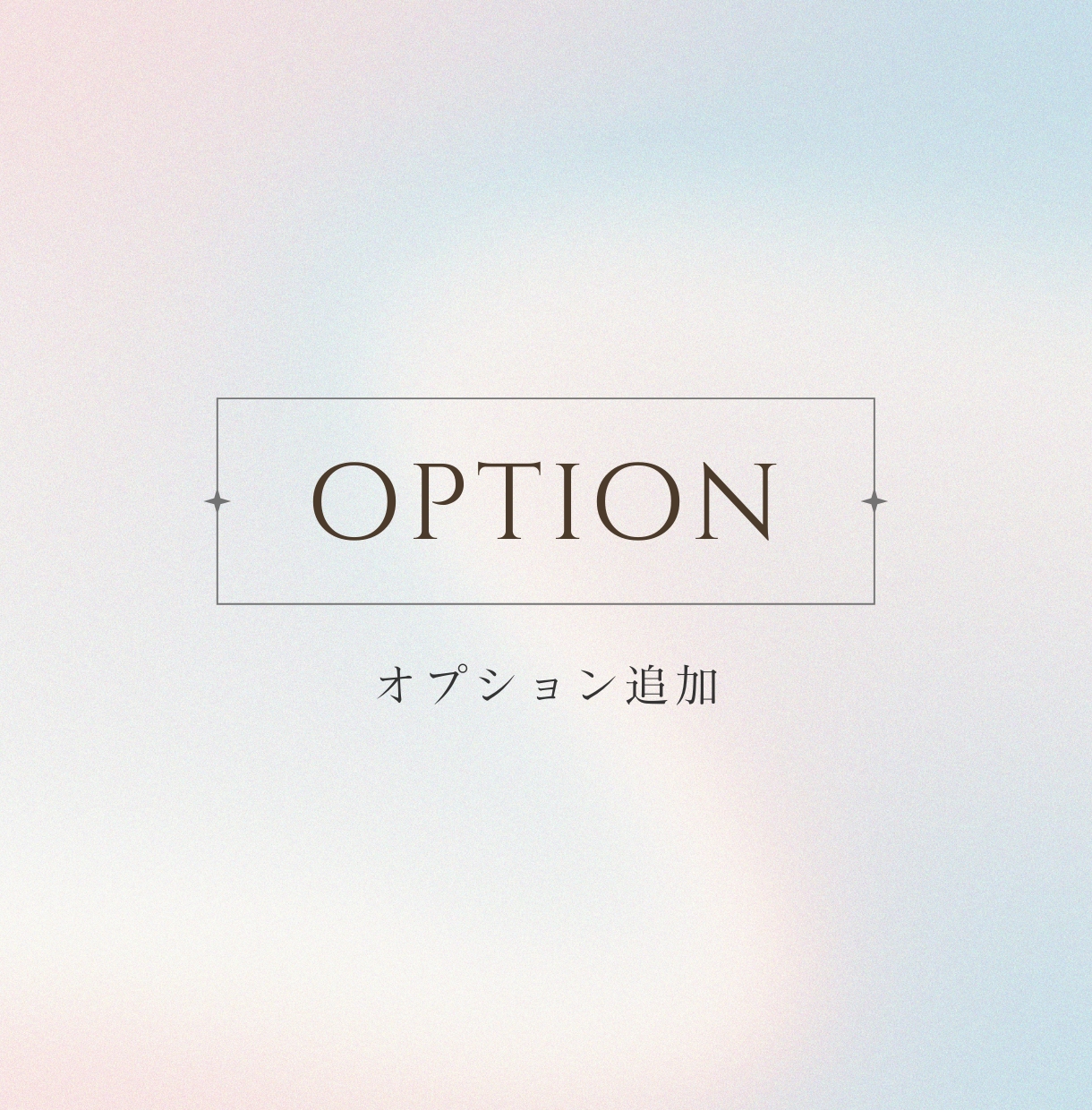 ご購入後のオプション追加はこちらからお願い致します ホームページ制作サービスをご購入のお客様用のサービスです。 イメージ1