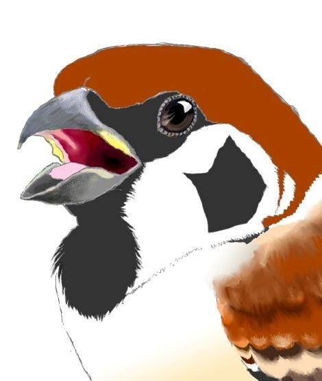似顔絵、SNS用イラスト、サムネ等を描きます 2枚2000円で描きます。人物、動物、ご飯等どうぞ。 イメージ4
