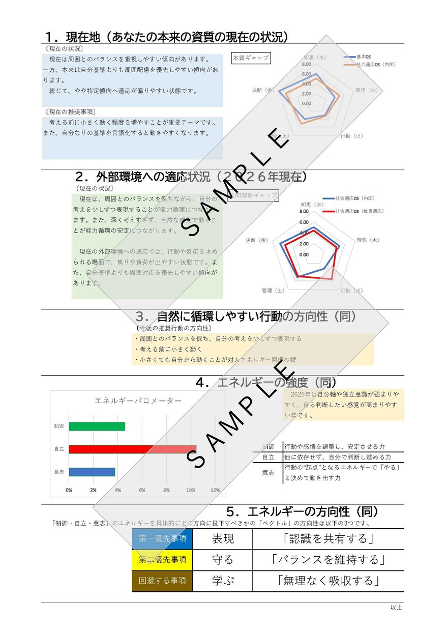 本質と行動のギャップを埋める行動指針を示します 本来の強みを炙り出し、自分らしく生きる最適解を示します イメージ3