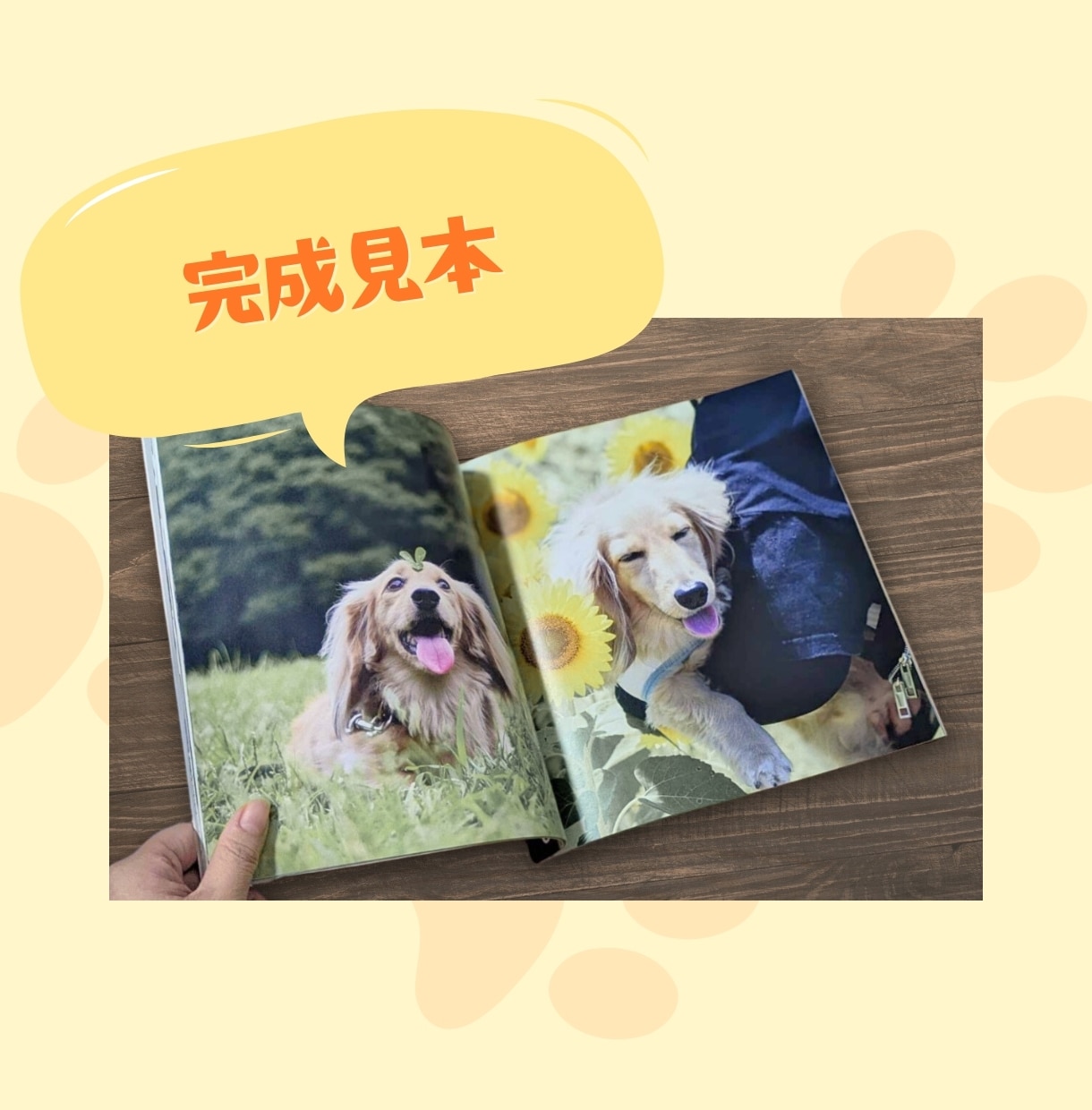 ペットの写真集（フォトブック）をつくります 写真を送るだけ！ペットの写真を本にしませんか？ イメージ2