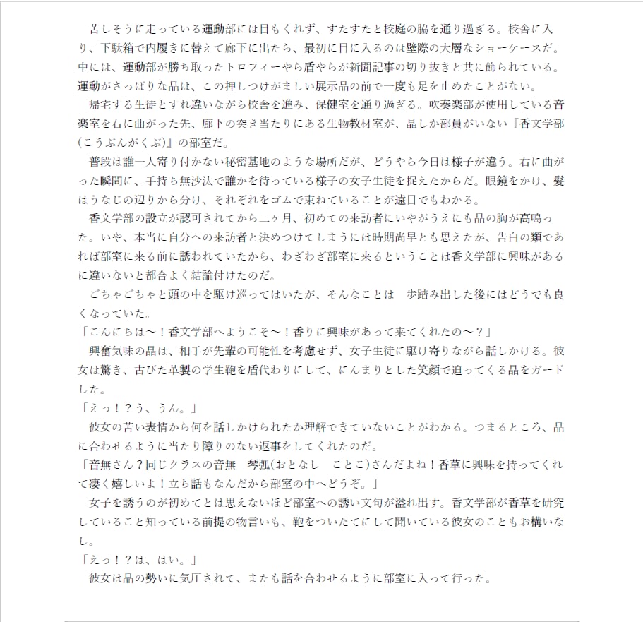 完結できない、を卒業！プロットの問題を解消します プロットの問題点を解消し、最後まで書けるお手伝いをいたします イメージ3