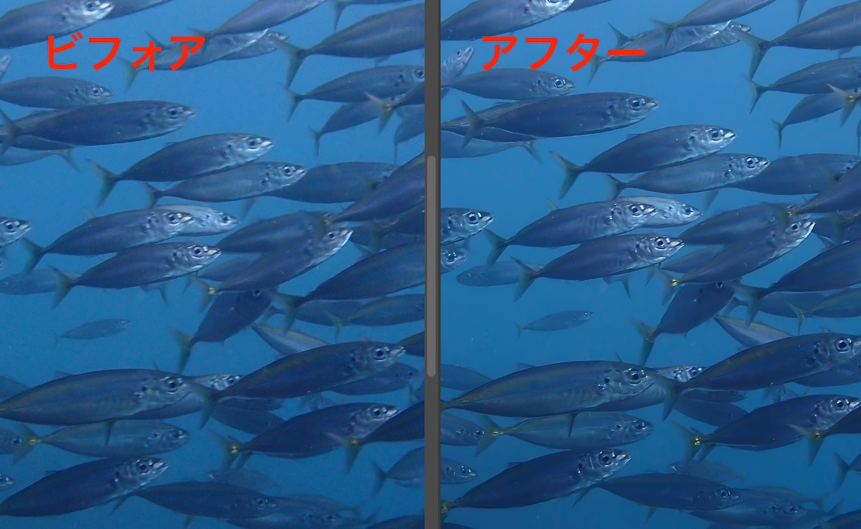 低画質の写真を高画質に甦らせます 画像サイズは更に大きく高解像度に、大切な思い出を鮮明に！ イメージ6