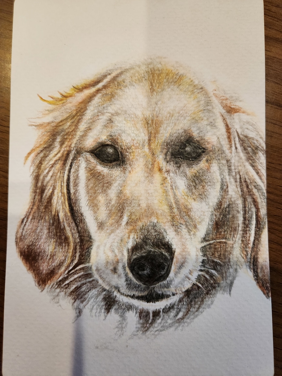 色鉛筆画　お写真そのままを描きます 色鉛筆で写真をそのまま絵にします。 イメージ2