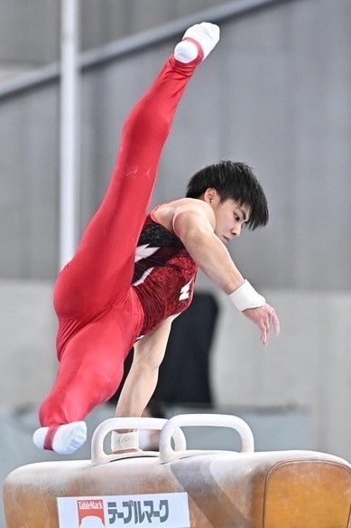 男子体操競技のアドバイスをします NHK杯出場経験のある私が経験を元に何でも相談に乗ります！ イメージ1