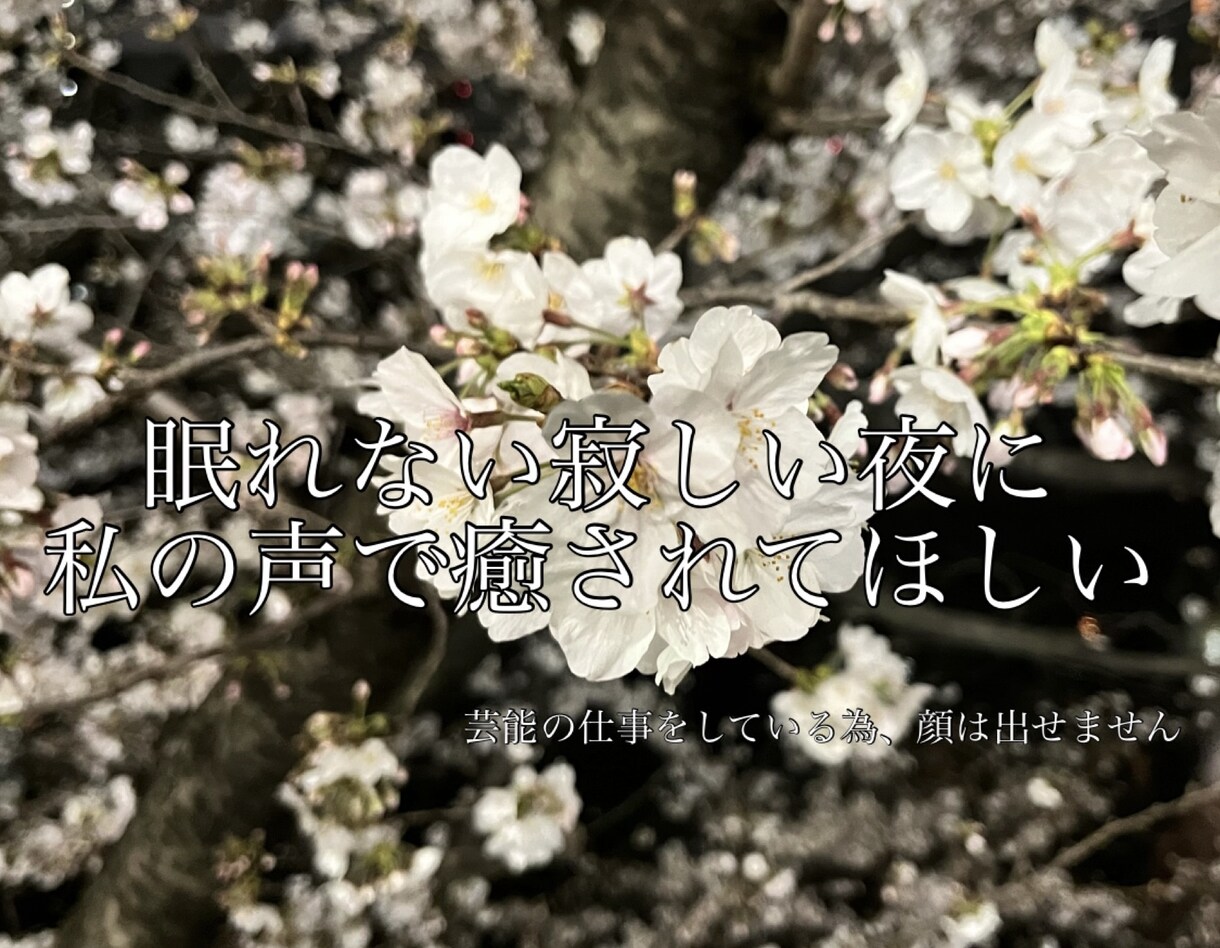 あなたのためだけにボイスメッセージを送ります 寂しい夜のお供に！ちょっぴり幼めな声であなたを癒します☺️ イメージ1