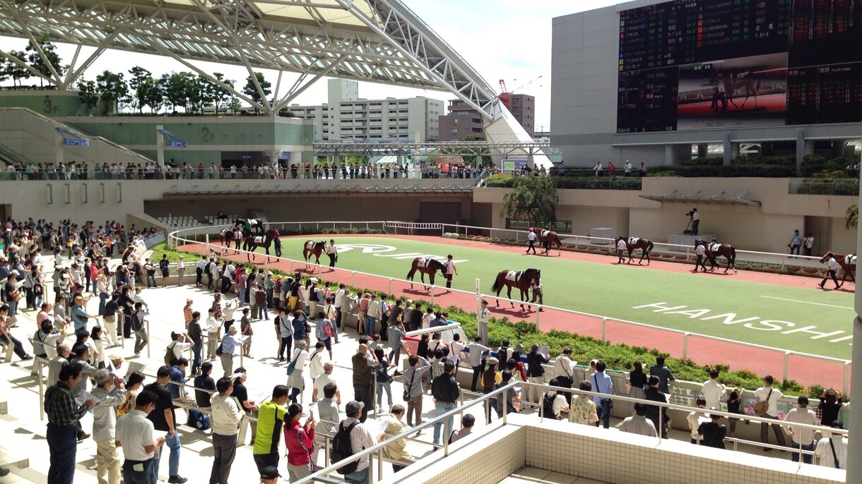 ３往復⭐️競馬好きさんとゆるく交換日記します 交換日記のように競馬愛を語りましょう イメージ6