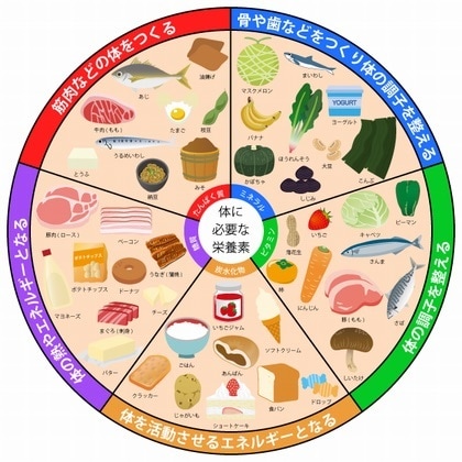 あなた専用のダイエットを考えサポートします 大きなリバウンドをしない為のダイエットのご提案を行います イメージ2