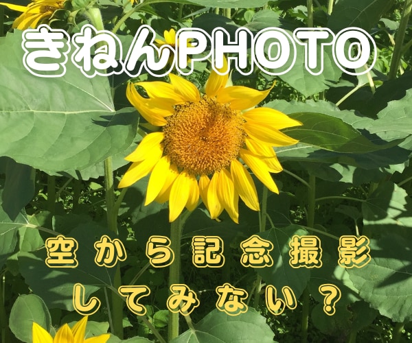 Drone！！上空から感動写真提供いたします 設立記念などに！ゆめを与えるドローン記念撮影！ イメージ5