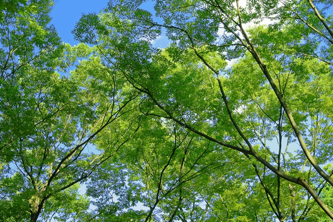 精神疾患のある介護福祉士が相談に乗ります １日チャットで話し放題！お気軽にご連絡ください(^ ^) イメージ1