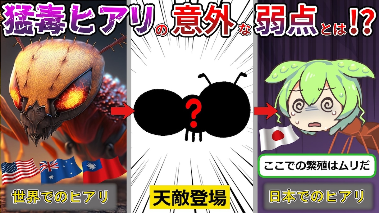 YMM4使用ゆっくり(ずんだもん可)動画編集します 初心者さんも安心！丁寧に編集サポートします！ イメージ3