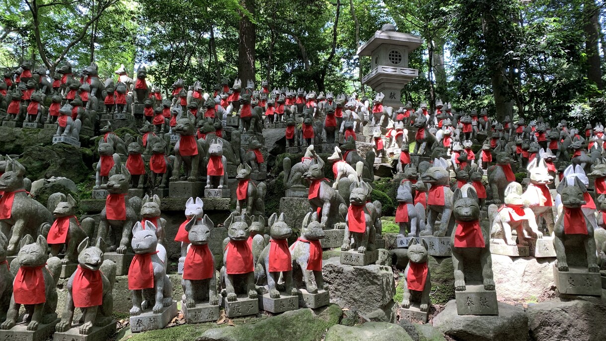 旅行のロケハン承ります せっかくの旅行でガッカリしない為に下調べします。 イメージ4