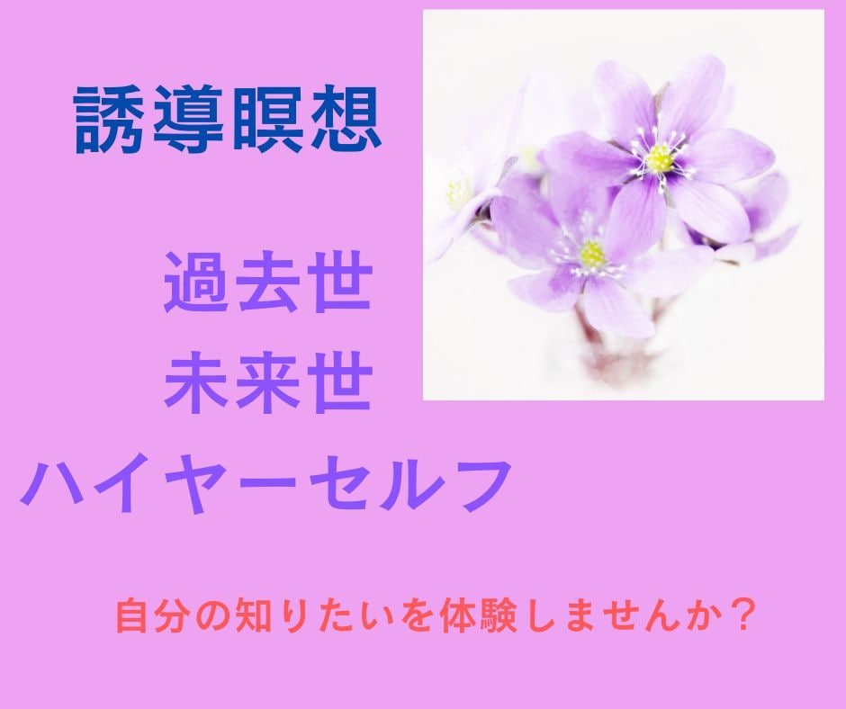 あなたの知りたいことを誘導瞑想で体験します 過去世や未来世、高次元の存在、インナーチャイルドと出会えます イメージ1