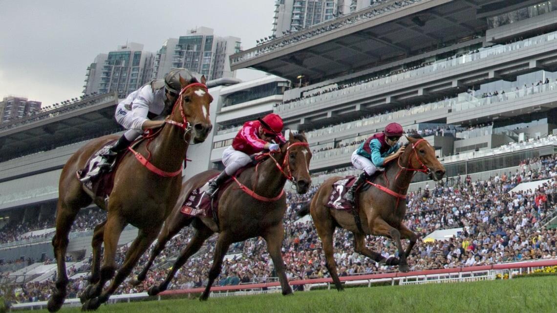 中央競馬G1の予想します 競馬が当たればもっと面白くなる！ イメージ3