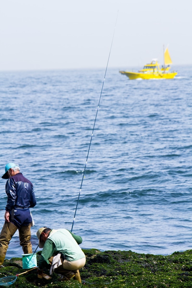 田舎、離島、海外移住、ご相談にのります 田舎、離島暮らし、海外への移住を、アドバイス致します！ イメージ6