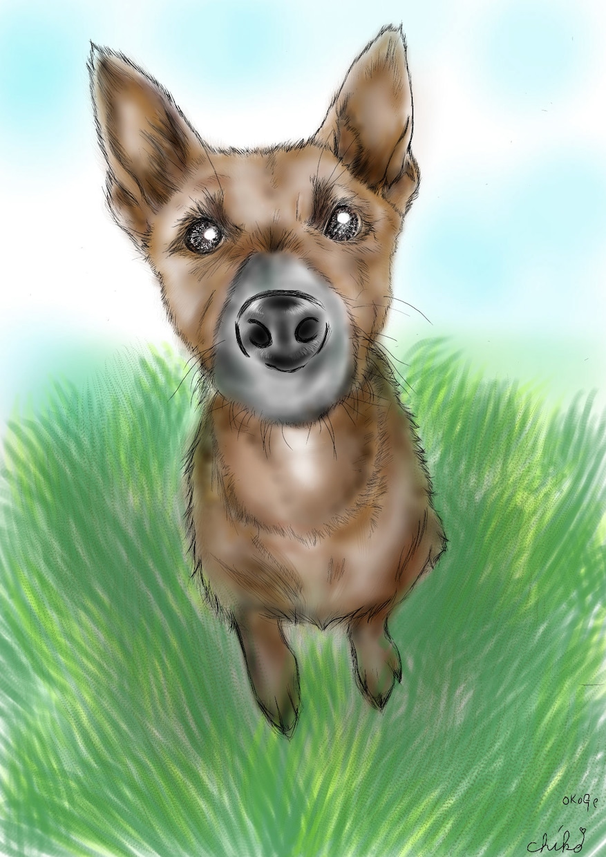 あなたの家族（動物）の絵描かせて欲しいと思ってます 動物（ペット）も家族の一員です、イラストで癒されませんか イメージ4