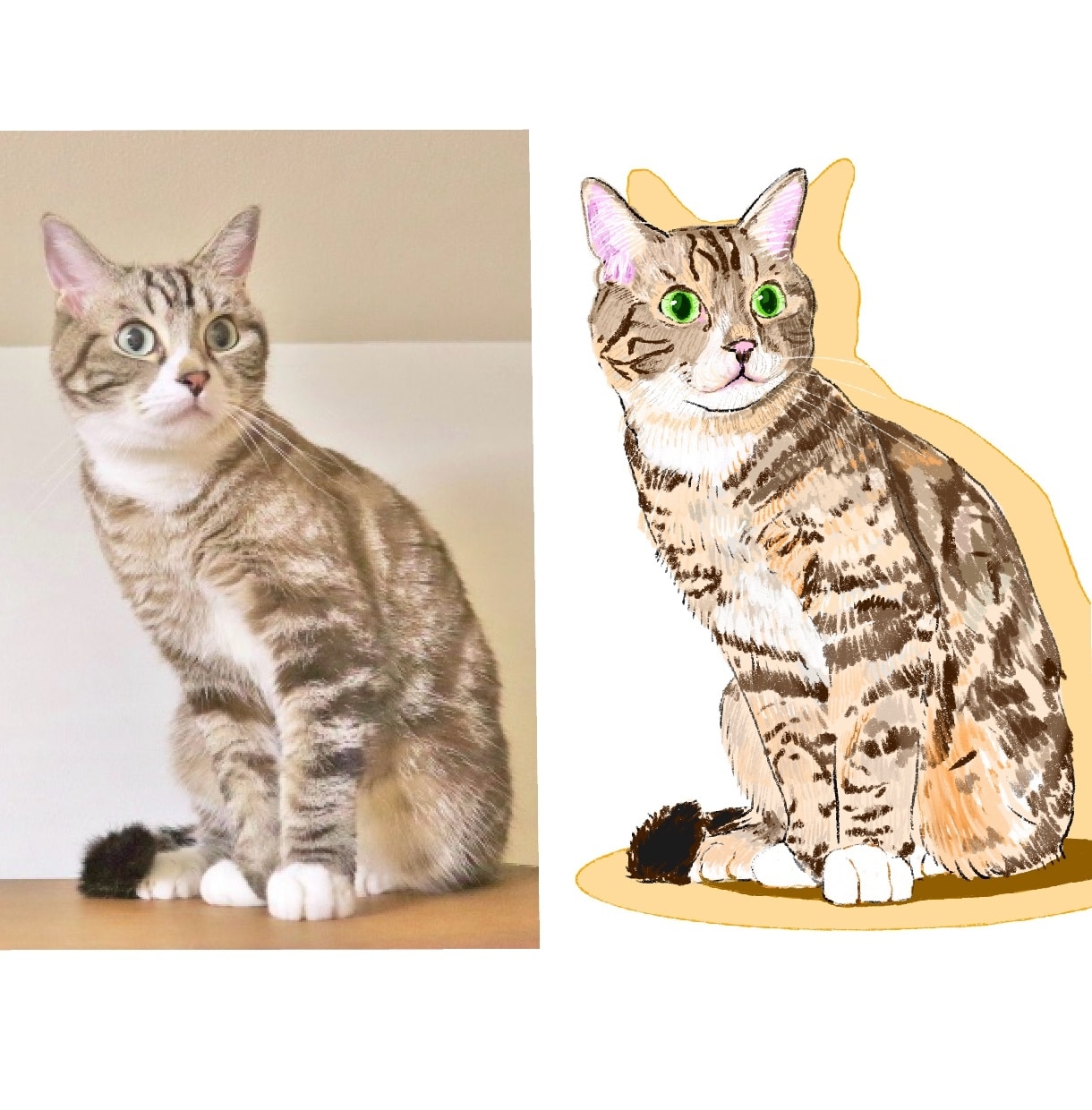 ペットの似顔絵イラストやアイコンお描きいたします お写真を元にご家族さまのデジタルイラストをお描きいたします！ イメージ2
