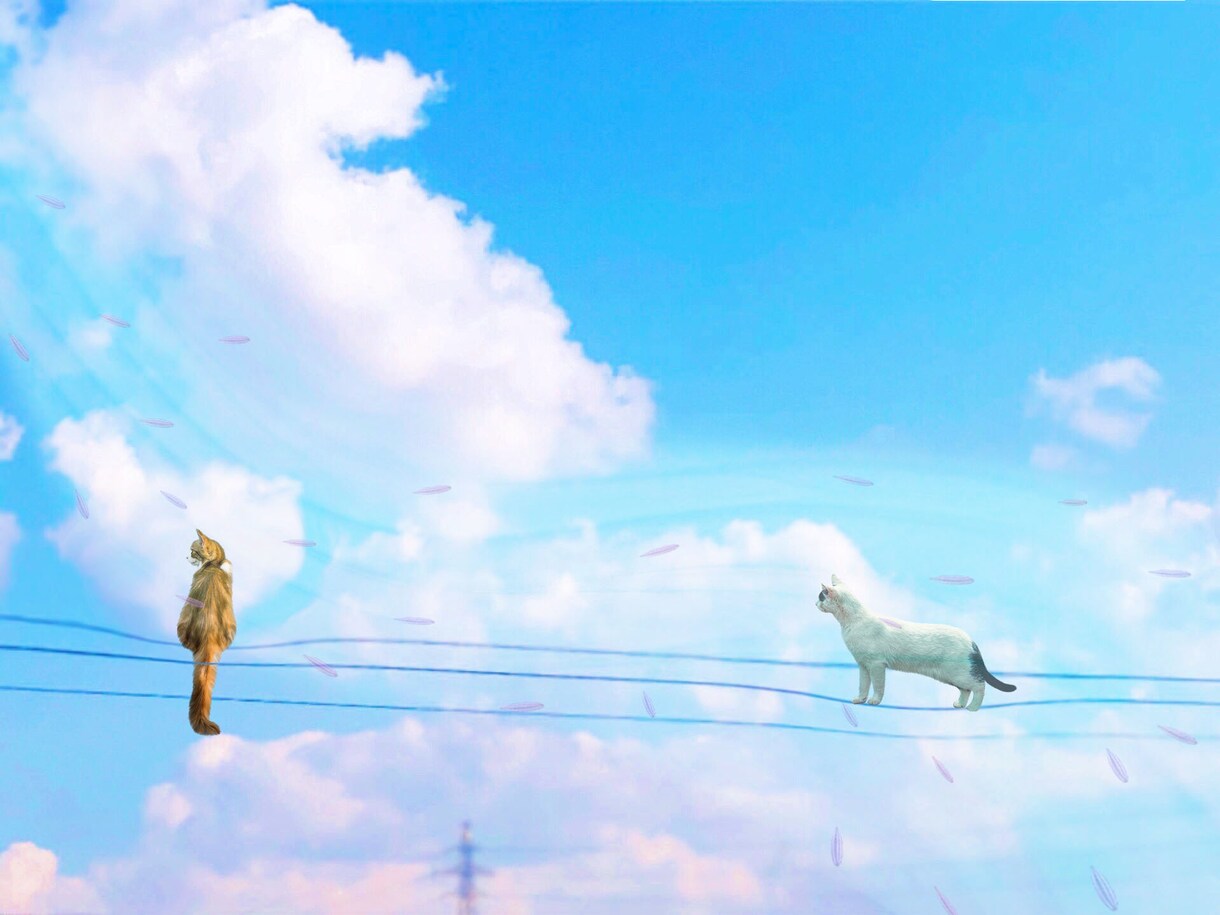 大切なペットの写真をさらに素敵にします あなたの大切なペットの写真をさらに思い出に残るような写真に！ イメージ5