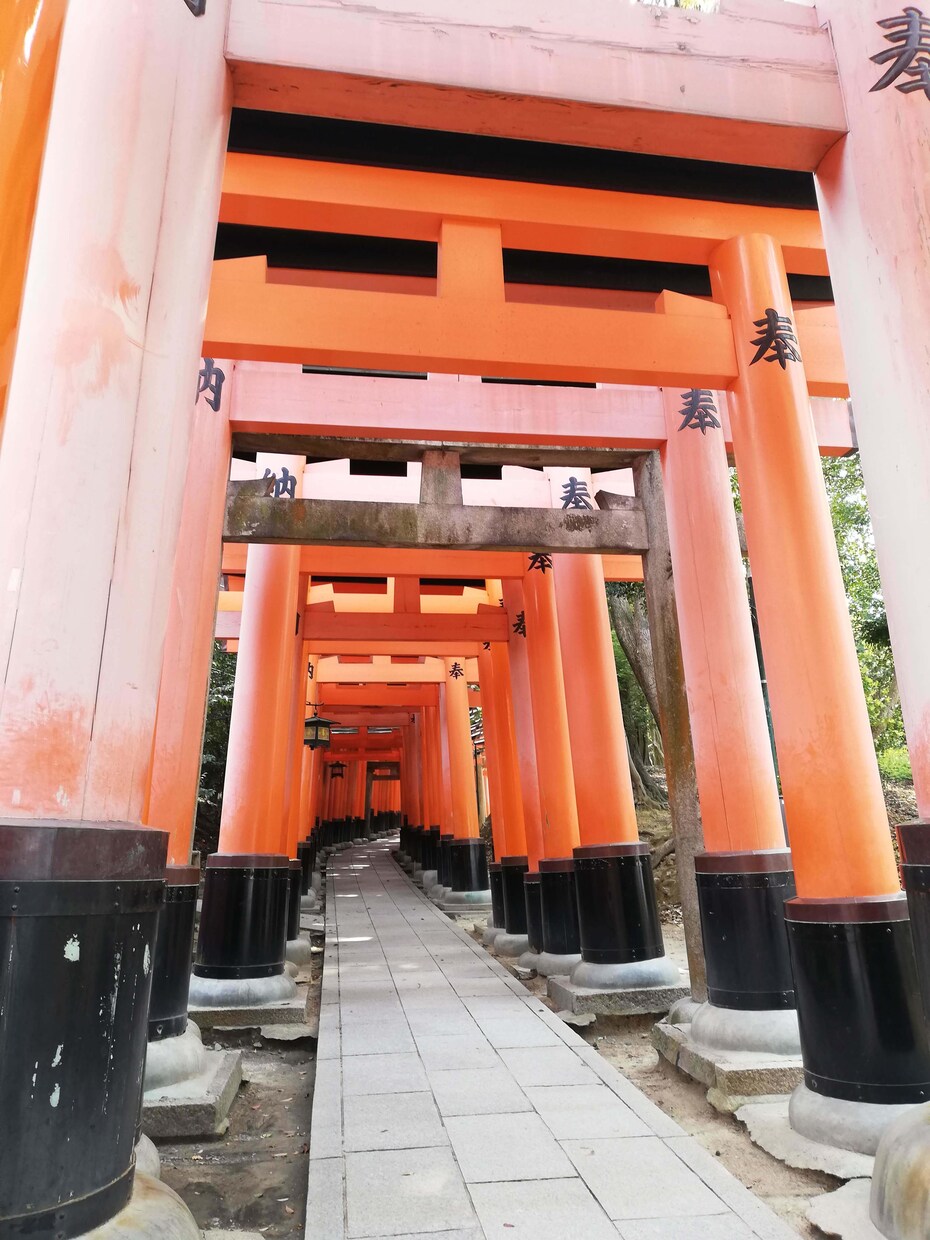 京都旅行の計画立てます 京都でのデート、友達との旅行、食べ歩き旅のプラン作成 イメージ5