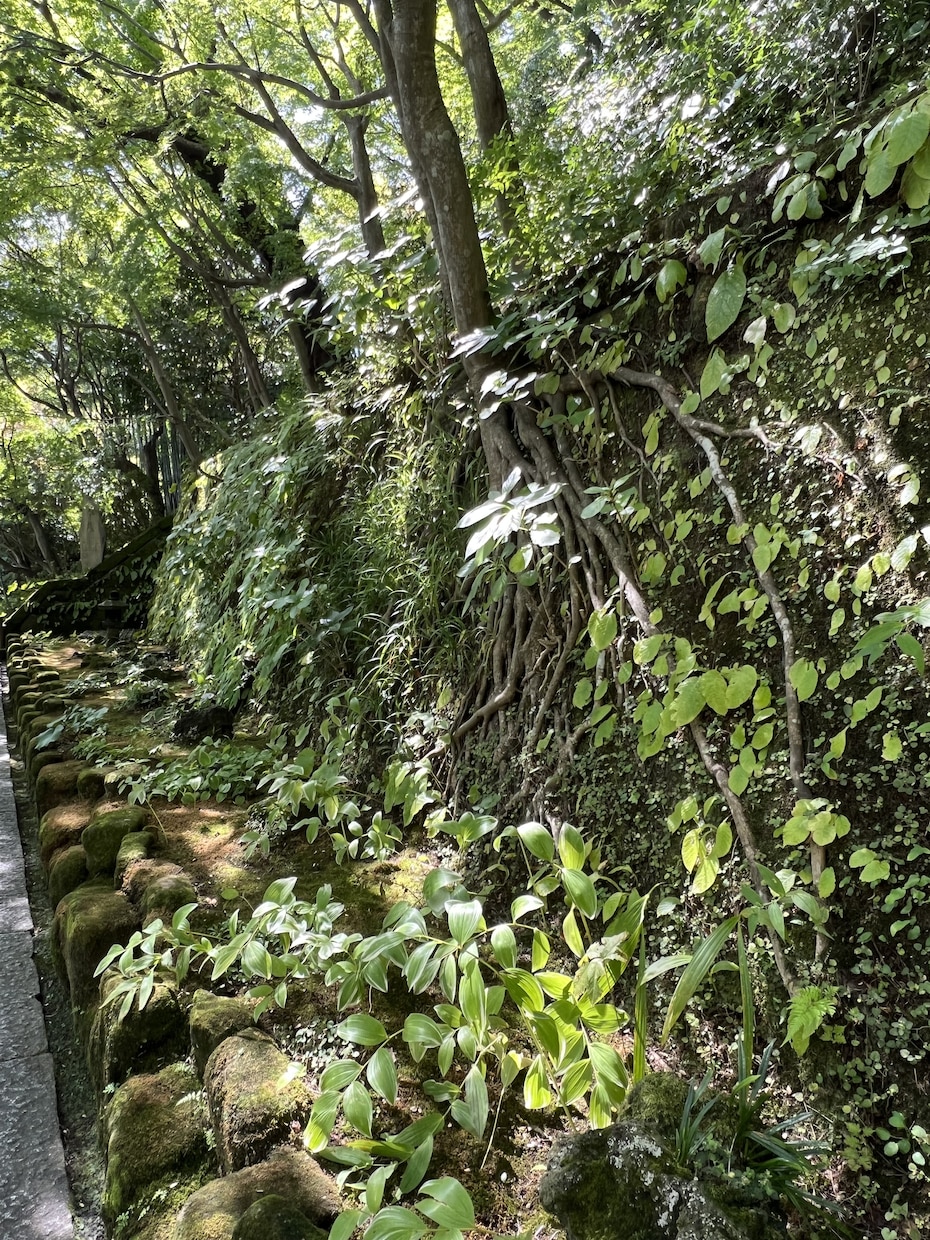 素敵な旅プランを選択いたします 国内限定(日帰り対応)であなたにあった旅プランを紹介します イメージ2