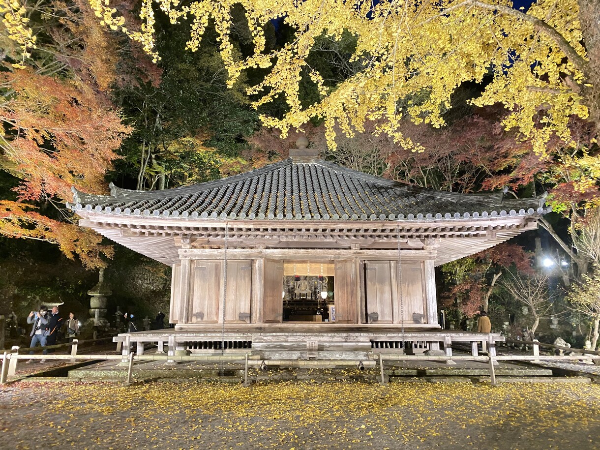風景写真(自然・街中)を販売します ご希望のコンセプト写真を10〜20枚程度提供いたします イメージ5