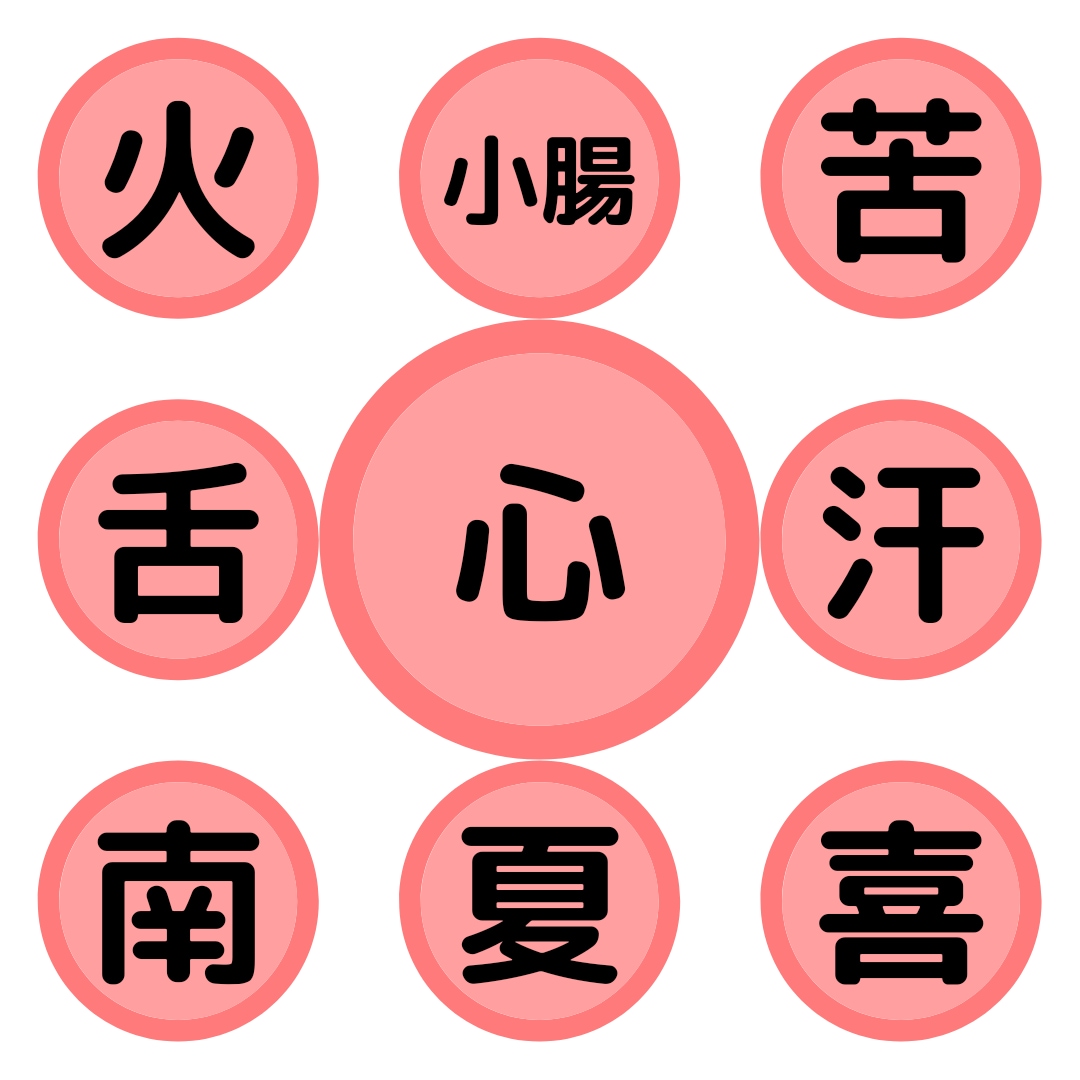 東洋医学領域解説します あなたの苦手な東洋医学領域問題の解きのコツ教えます。 イメージ1