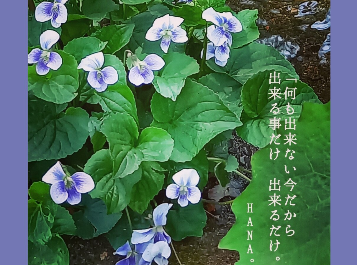 病気/孤独/心の傷/寄り添いHANAチャットします 私も療養中!闘病中・療養中・入院中・傷ついた人へ癒しチャット イメージ4