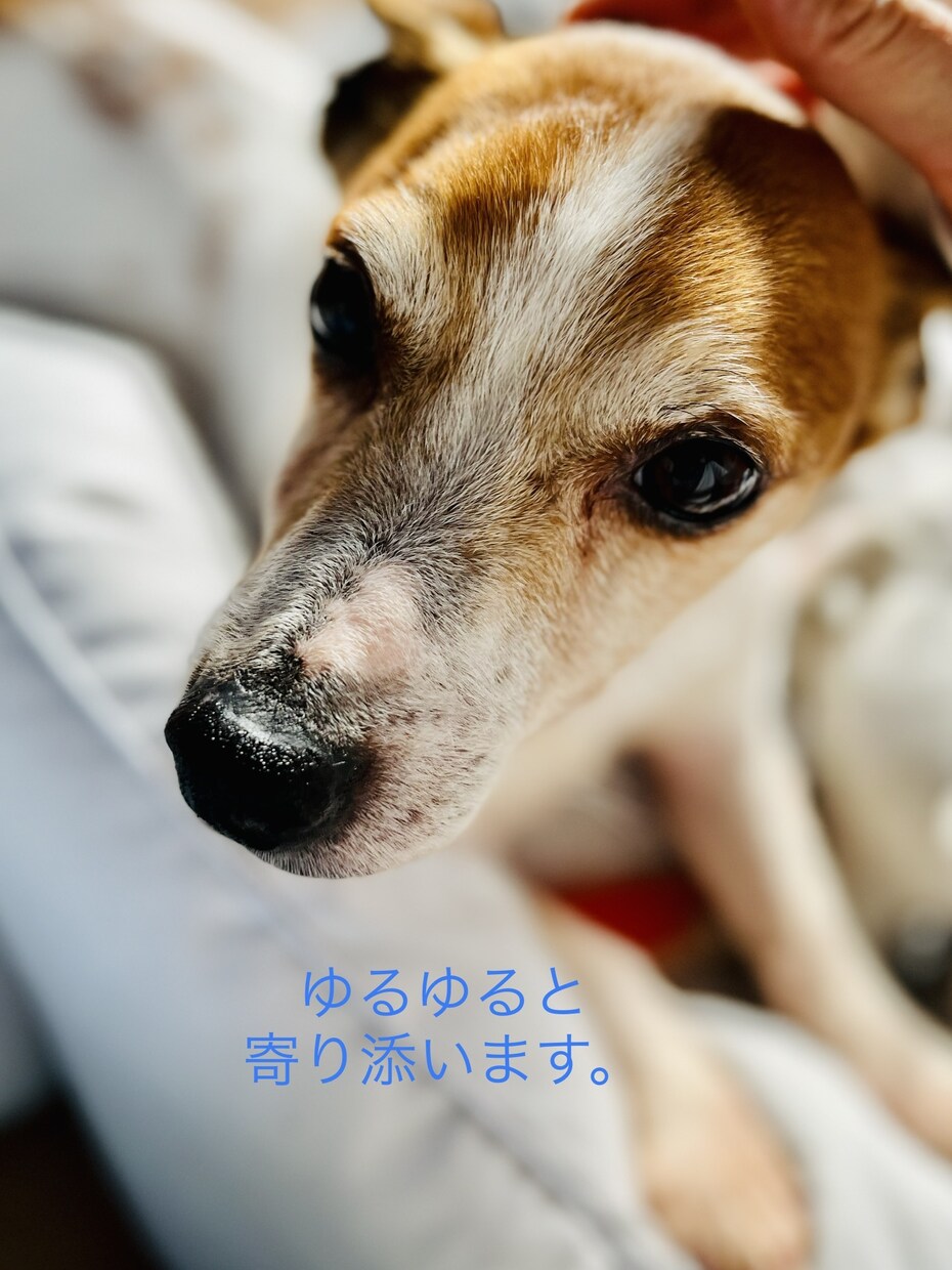 愚痴や悩みきかせてください。寄り添います 精神保健福祉分野ならお話しできることもあります。 イメージ1