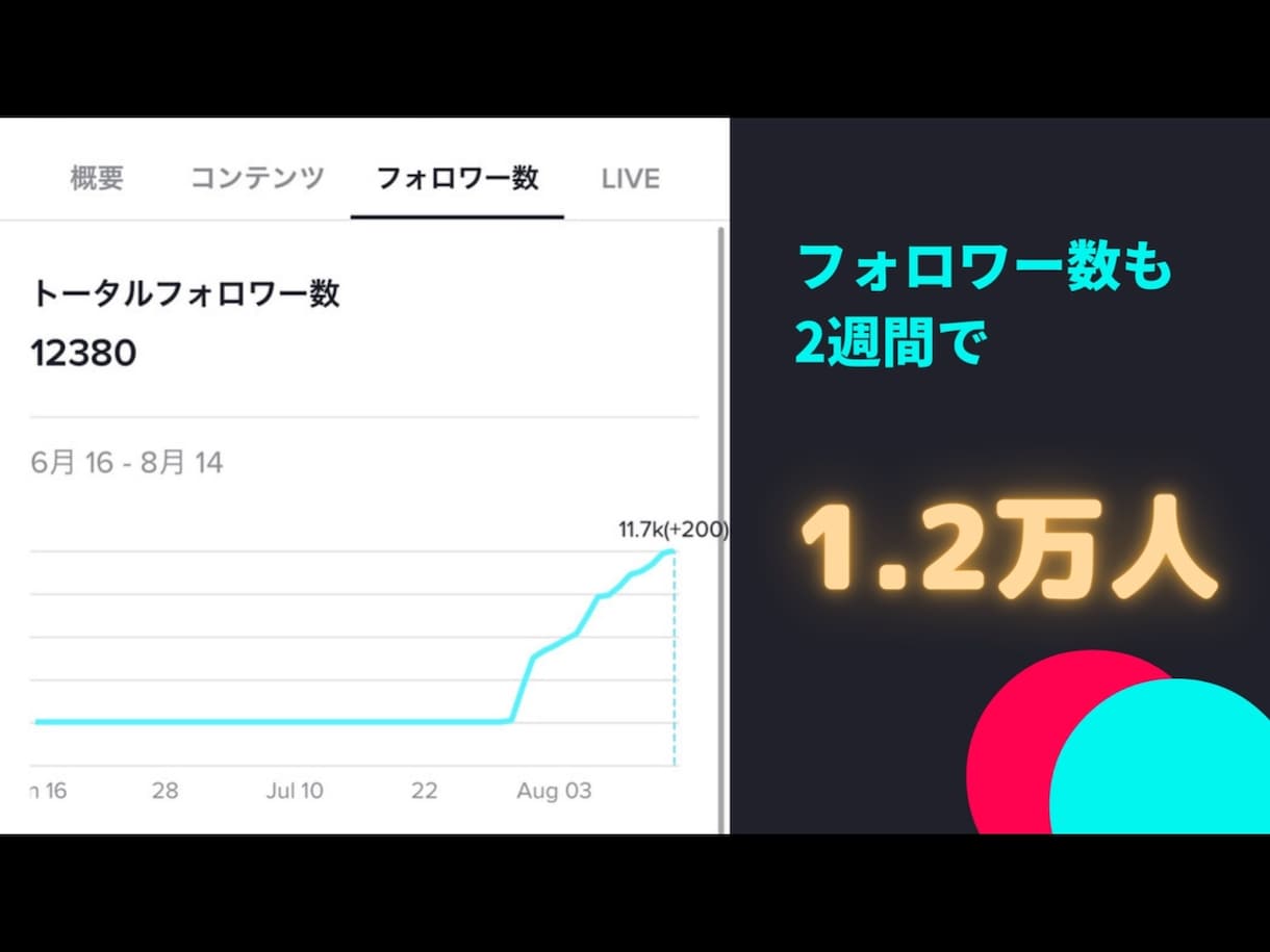 運用経験に基づいたTikTokコンサルします 2週間でフォロワー1.5万人、総再生回数3.6M回達成！！ イメージ2