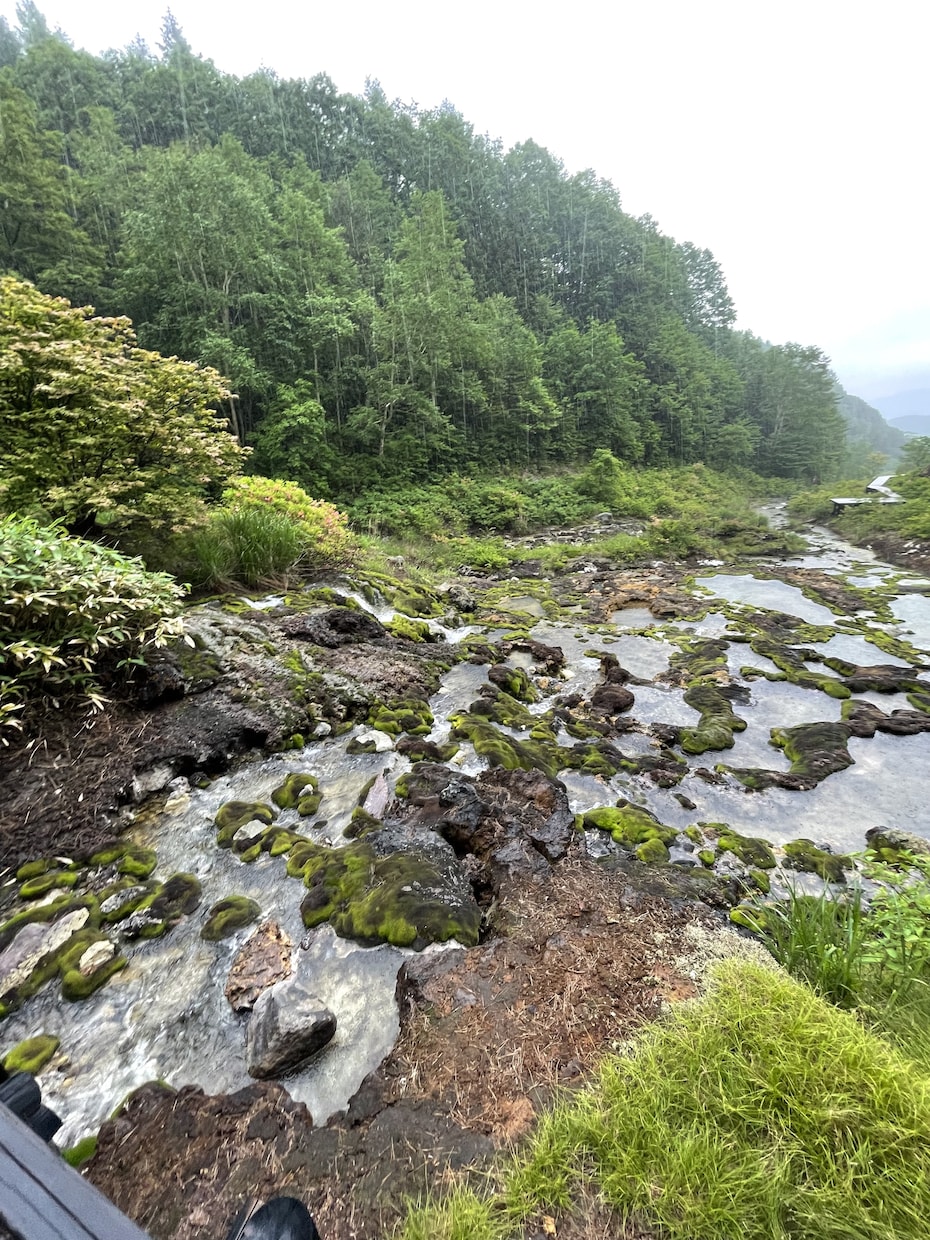あなたの⭐️旅行プラン⭐️考えます 忙しいあなたに素敵なプランを提案します。 イメージ1