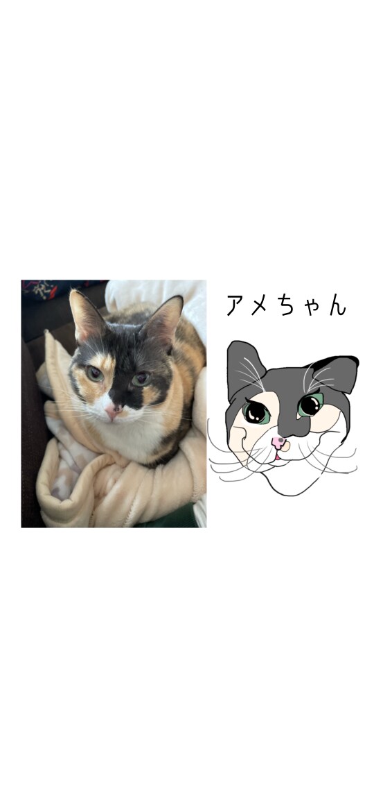 可愛くて思わずぷぷぷなイラスト描きます ❁⃘現役美術学生の頭をフル活用して他には無いアイデアを！ イメージ4
