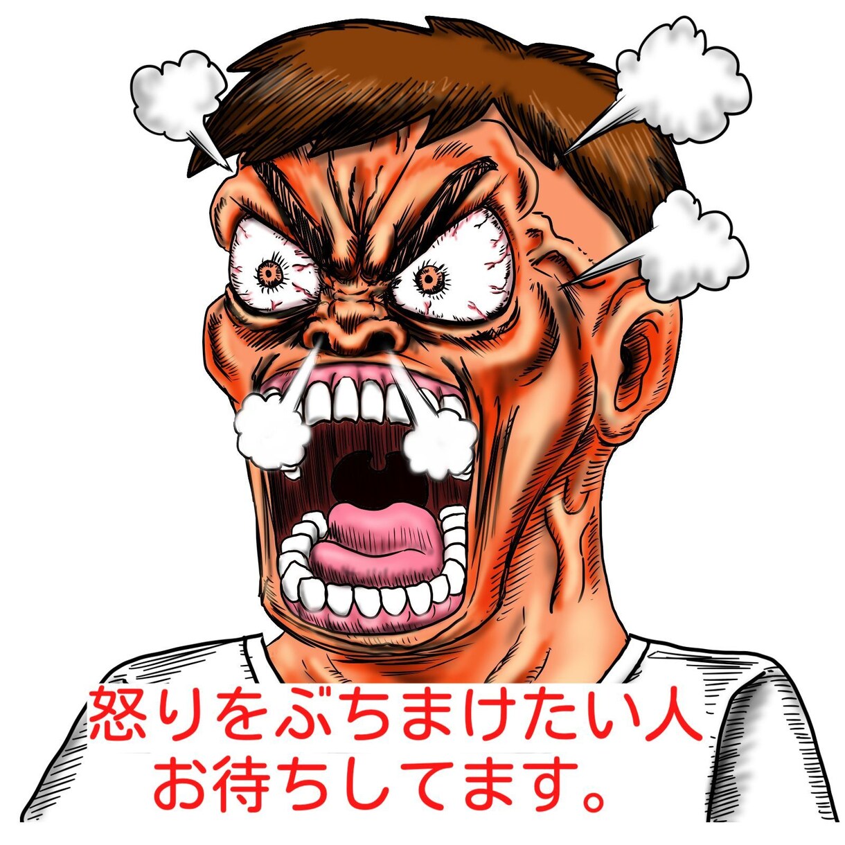 あなたの怒りを聞きます 八つ当たられ屋　どんな怒りでもぶちまけて下さい イメージ1
