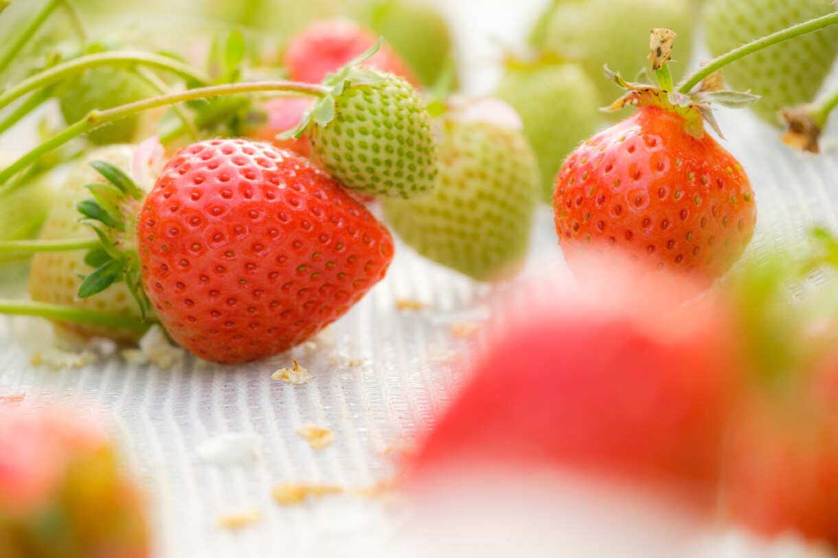 貴方の命の色をお伝えします 貴方の色は産まれた時から決まっています。 イメージ2