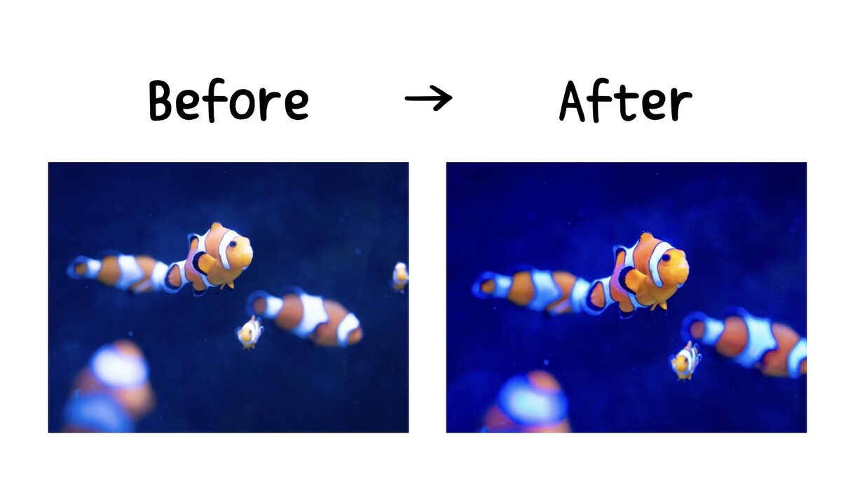 なんでも写真撮影します ノイズだらけの夜は卒業。闇を『ドラマチックな光』に変えます イメージ4