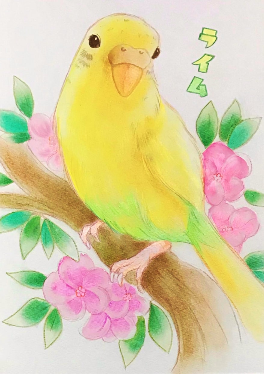 ペットの似顔絵お描きします 大切な思い出を形にしたい方へ(基本料金 一匹になります) イメージ4