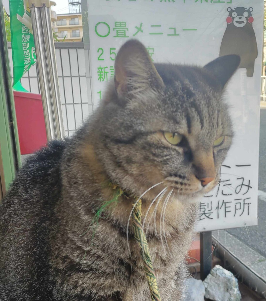 自己肯定感を高めて、心健やかにします 話を聞いてほしい、理解者がほしい、アナタの素敵を見つけます。 イメージ3