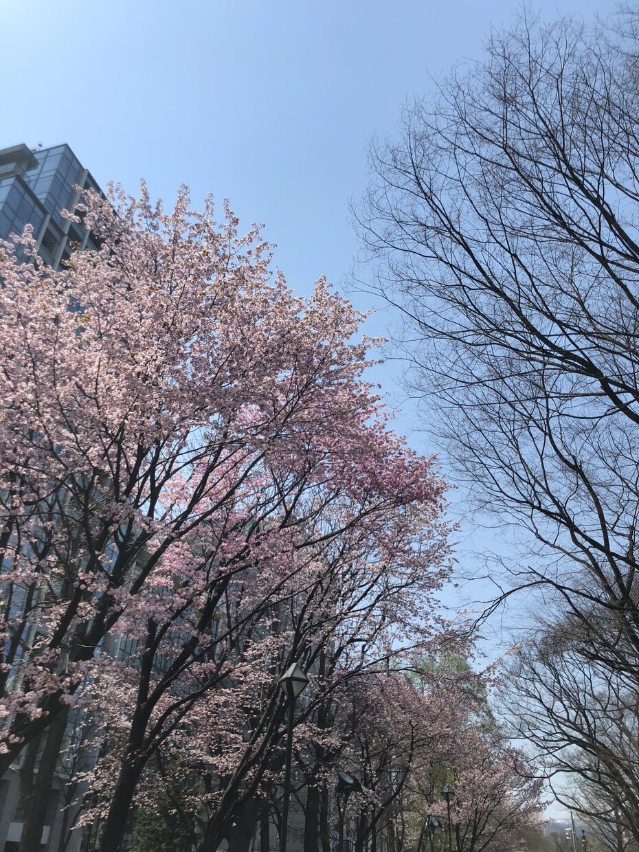 1コインであなたの心を癒します あなたの心の拠り所になりたいです。 イメージ1