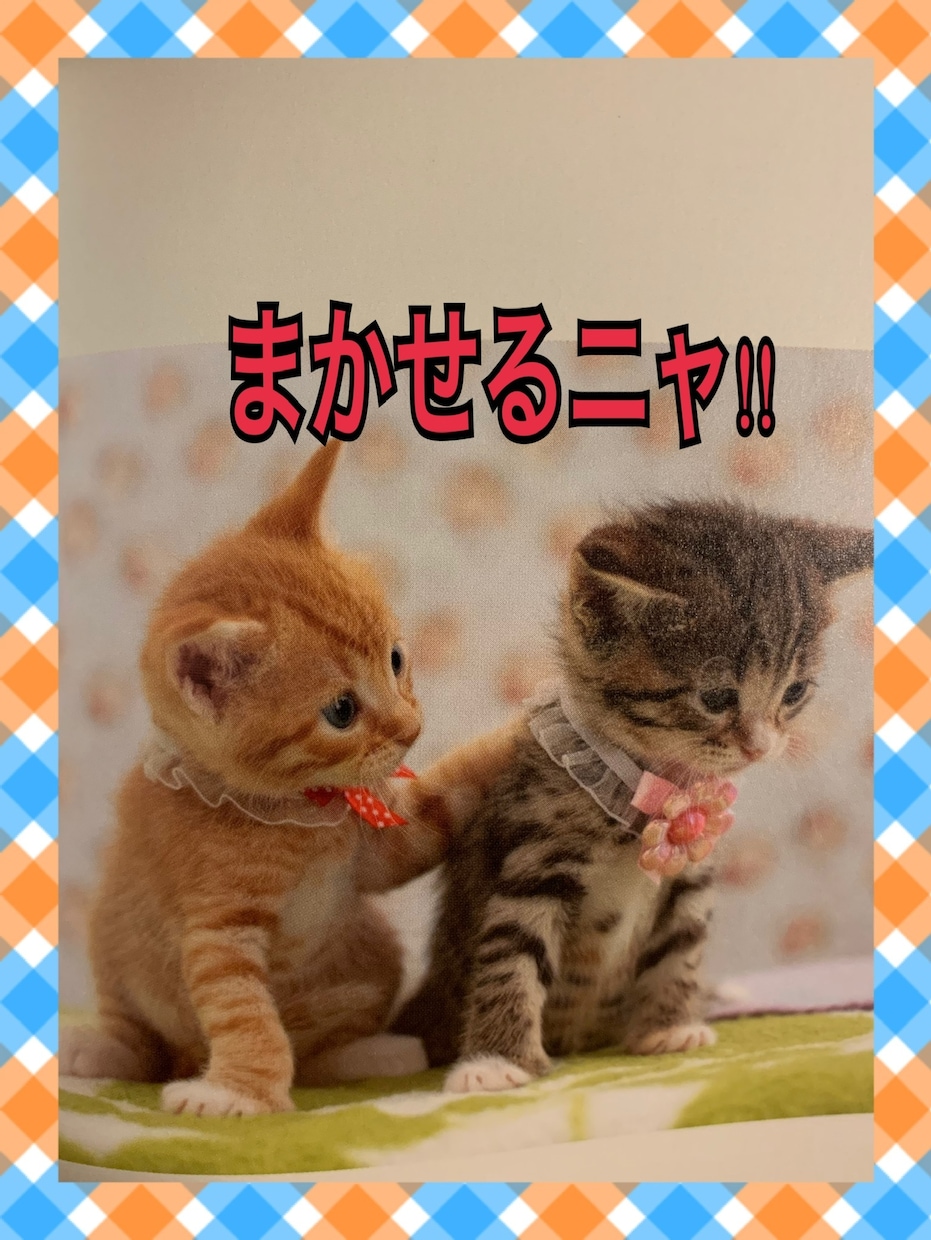 あなたの心に寄り添い、ゆったりとした時間を届けます あなたに寄り添ってくれる人はいますか？ イメージ1