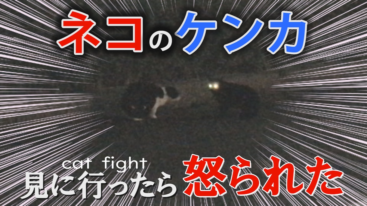 動画にテロップ入れます 3日～５日以内での納品を心がけます イメージ2