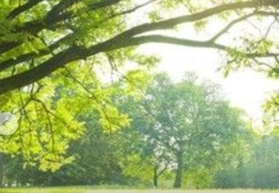お悩み聞きます 恋愛、人生などのお悩み聞きます イメージ3