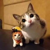 お子様のお名前に不安が有る方の解決を致します お子様のお名前が悪い方の解決方法をご提案致します。 イメージ2