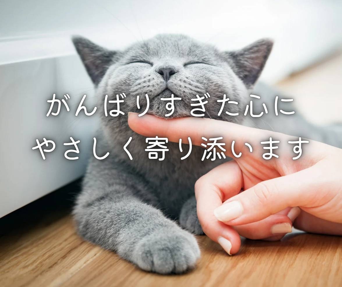 じっくり話せる凪の相談室♪あなたの心に寄り添います 話してよかったと思える時間。貴方の想いまるごと受け止めます イメージ5