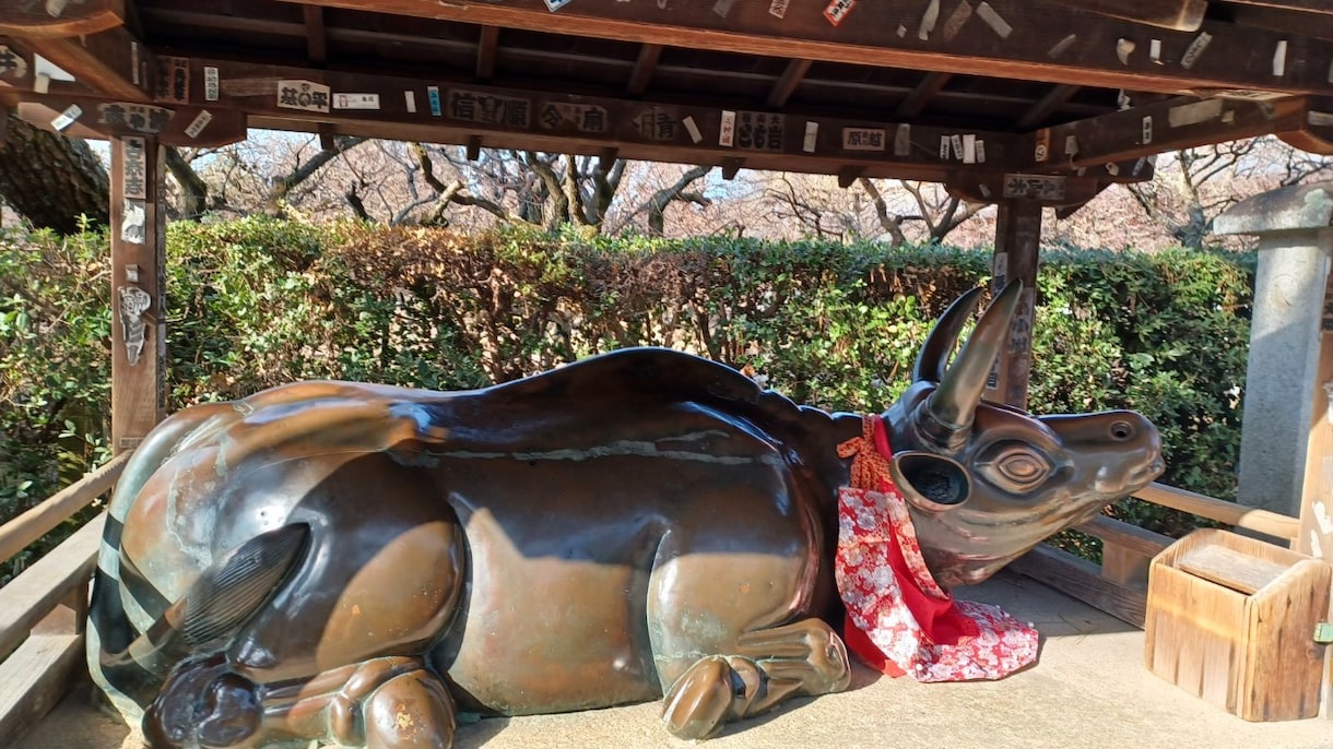 3月まで！！京都市の北野天満宮に代行参拝します ポジティブ覇気で大学受験に臨めるよう祈願絵馬奉納します！ イメージ4