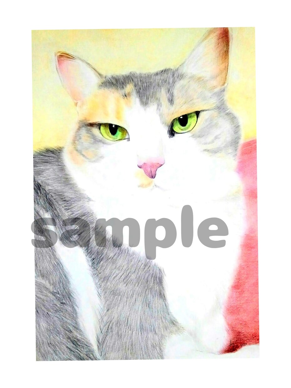 大切なペットを色鉛筆で描きます 家族を、絵として飾ってみませんか？ イメージ2