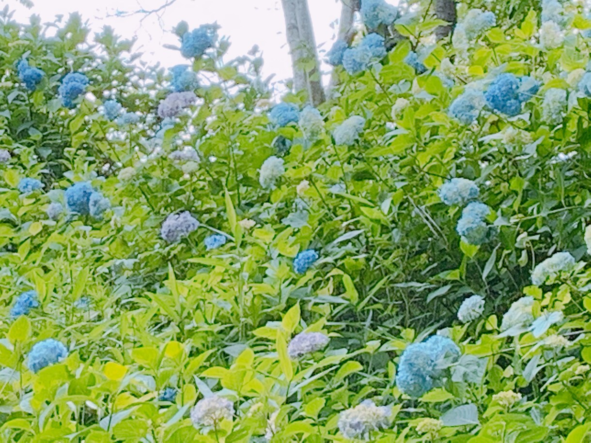 お話、相談相手になります 愚痴や相談、趣味の話お聞きします イメージ1