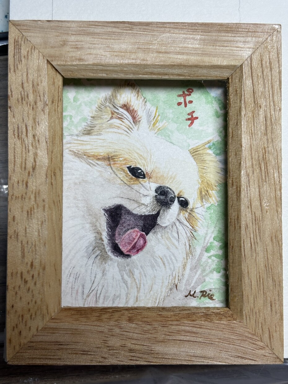 小さいサイズで、動物ちゃんの似顔絵描きます ふんわり優しく♬.*ﾟ可愛らしい表情を描きます イメージ5
